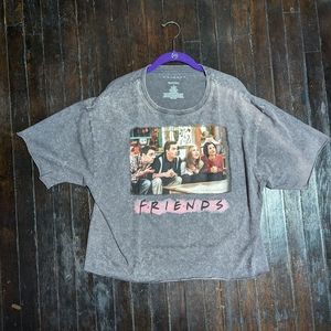 Friends Cropped Short Sleeve Grey Slight Bleached Style Tee